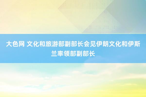 大色网 文化和旅游部副部长会见伊朗文化和伊斯兰率领部副部长