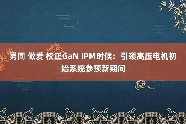 男同 做爱 校正GaN IPM时候：引颈高压电机初始系统参预新期间