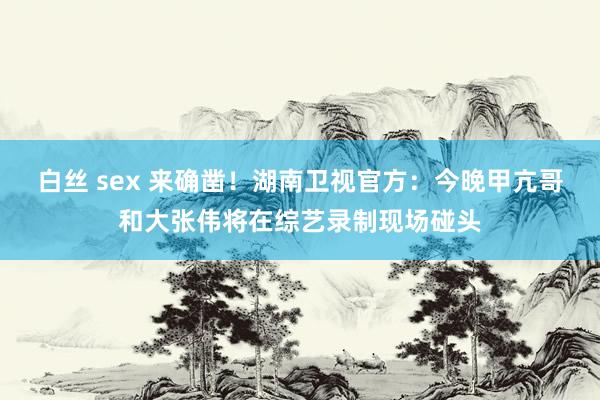 白丝 sex 来确凿！湖南卫视官方：今晚甲亢哥和大张伟将在综艺录制现场碰头